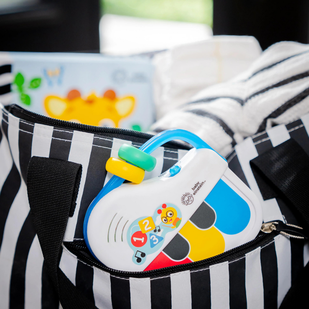 Baby Einstein - Jucarie muzicala Petit Piano