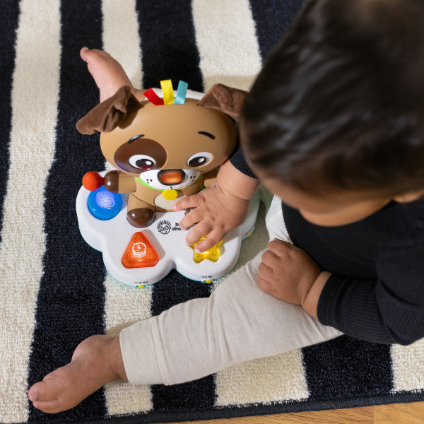 Baby Einstein - Toba muzicala, "Drum & Learn Dean"