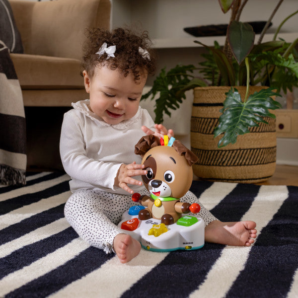 Baby Einstein - Toba muzicala, "Drum & Learn Dean"