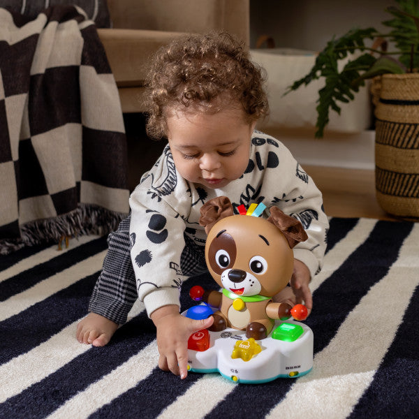 Baby Einstein - Toba muzicala, "Drum & Learn Dean"