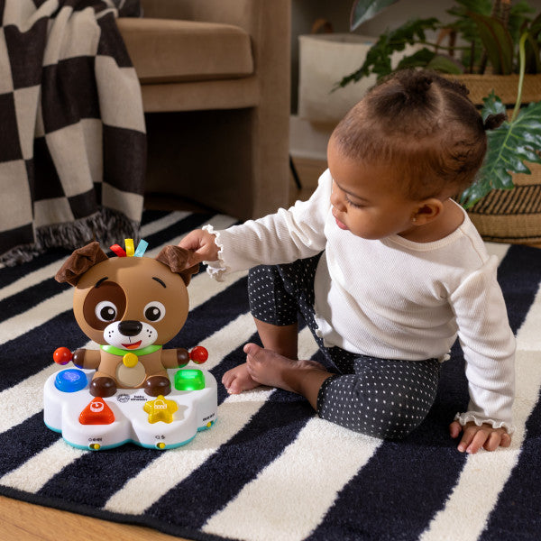 Baby Einstein - Toba muzicala, "Drum & Learn Dean"