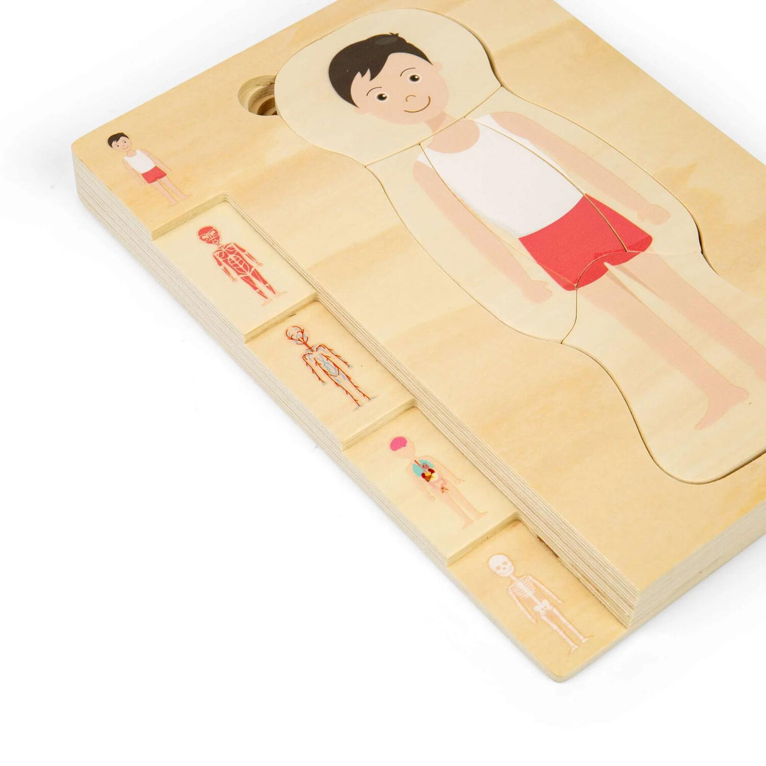 Puzzle anatomic din lemn - Baiat