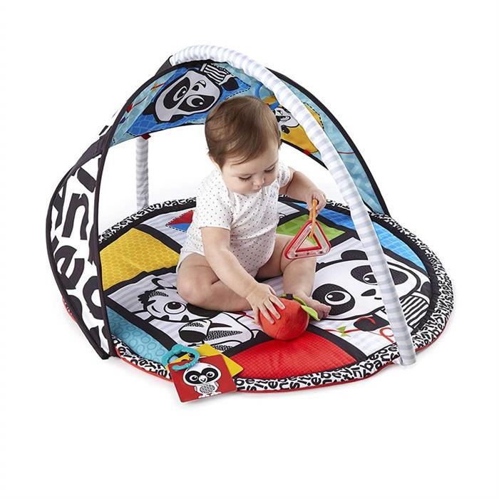Baby Einstein - Salteluta de activitati Bold New World