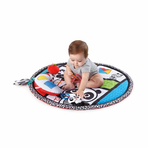 Baby Einstein - Salteluta de activitati Bold New World