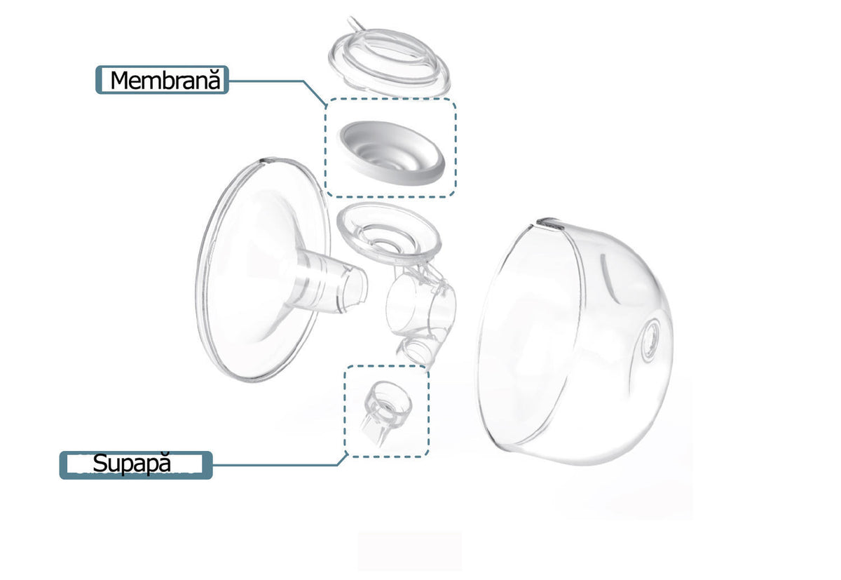 SPECTRA Set Cupe Hands Free 28 mm plastic PP silicon DEHP compatibile pompe Spectra