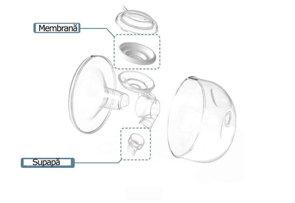SPECTRA Set Cupe Hands Free 24 mm din plastic PP si silicon, DEHP, pentru pompare mainile libere