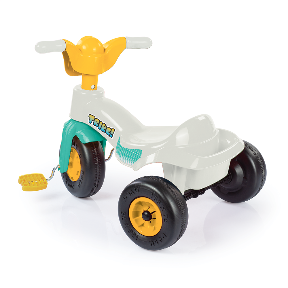 Prima mea tricicleta - Pastel