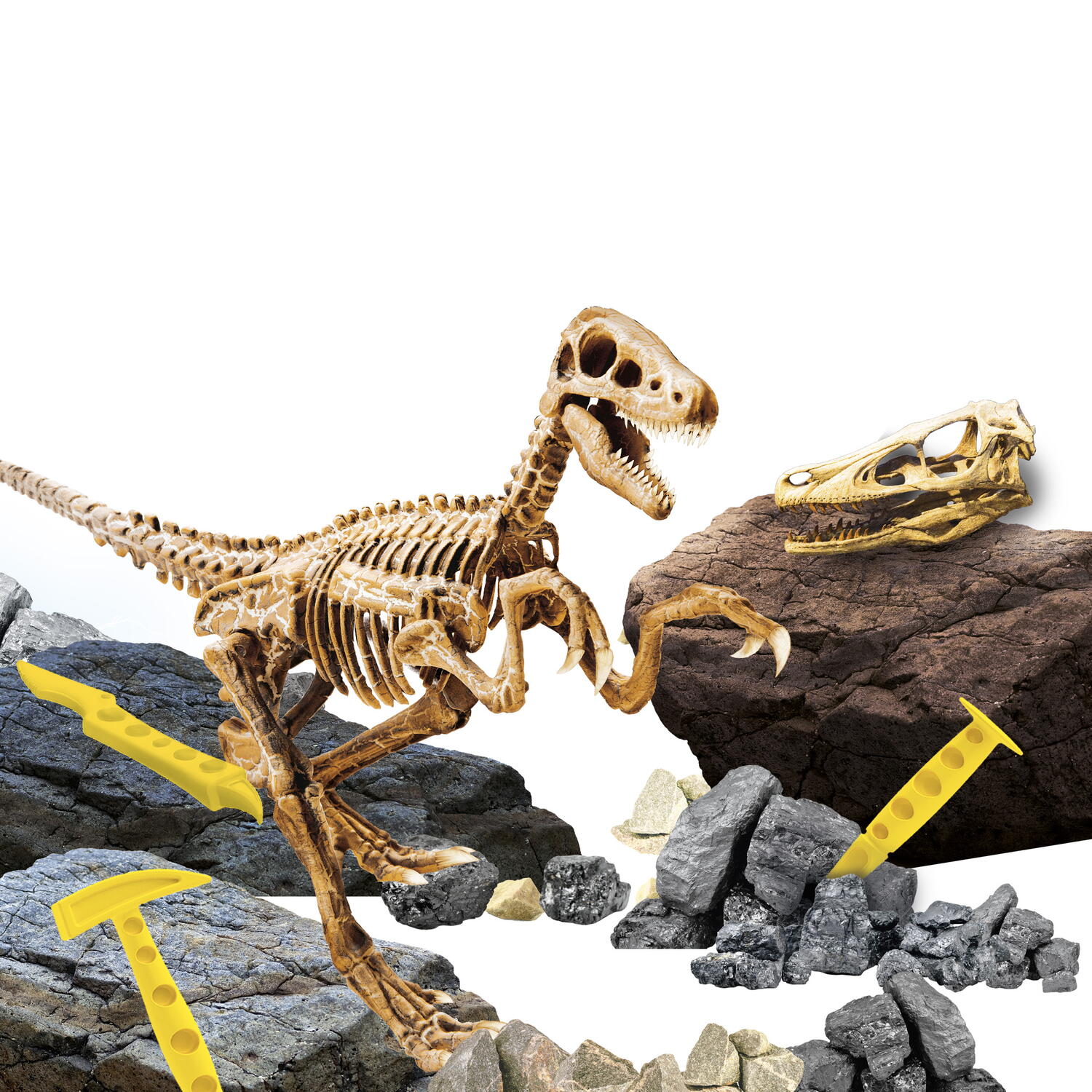 Experimentele micului geniu - Kit paleontologie Velociraptor