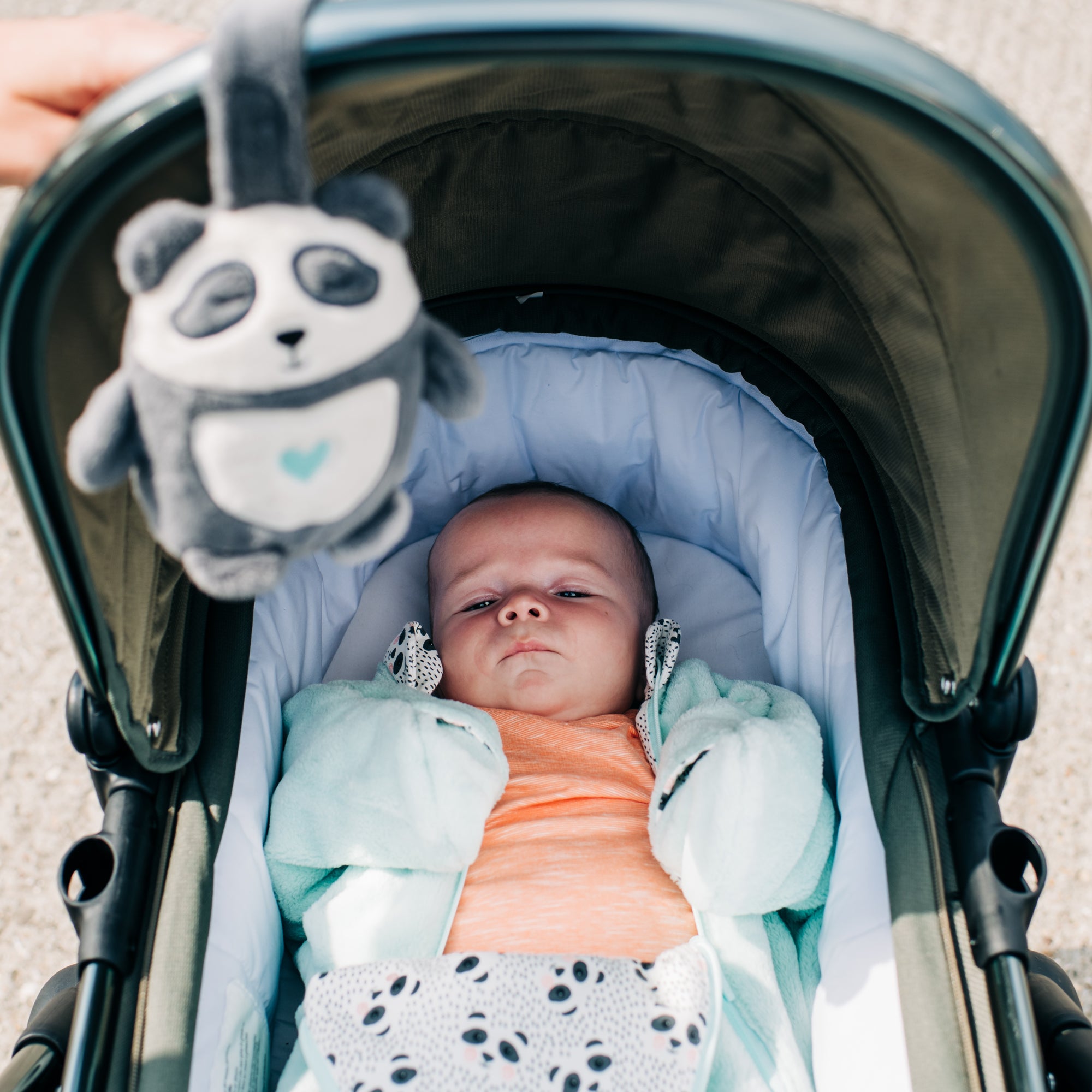 Dispozitiv cu sunet pentru somn reincarcabil Tommee Tippee, ideal pentru calatorii , (0 luni+), Mini Ursuletul Panda Pip