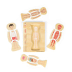 Puzzle anatomic din lemn - Baiat