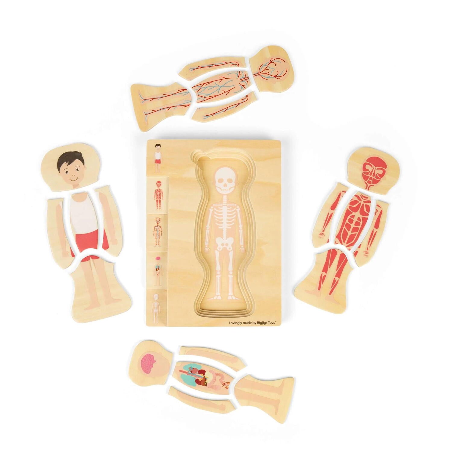 Puzzle anatomic din lemn - Baiat