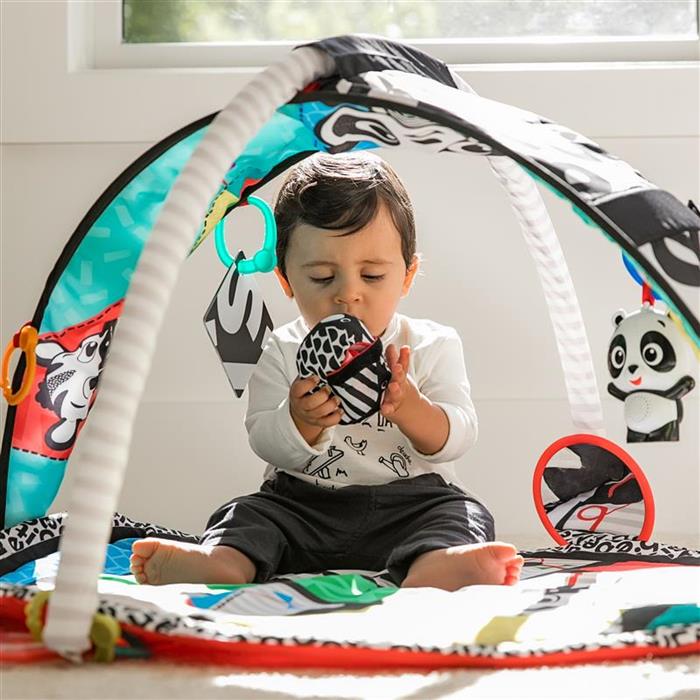 Baby Einstein - Salteluta de activitati Bold New World