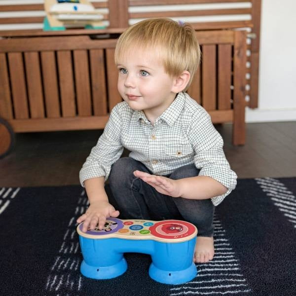 Baby Einstein - Jucarie muzicala Tobe Hape Magic Touch