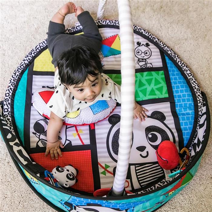 Baby Einstein - Salteluta de activitati Bold New World