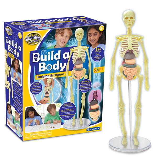 Knowledge of the human body