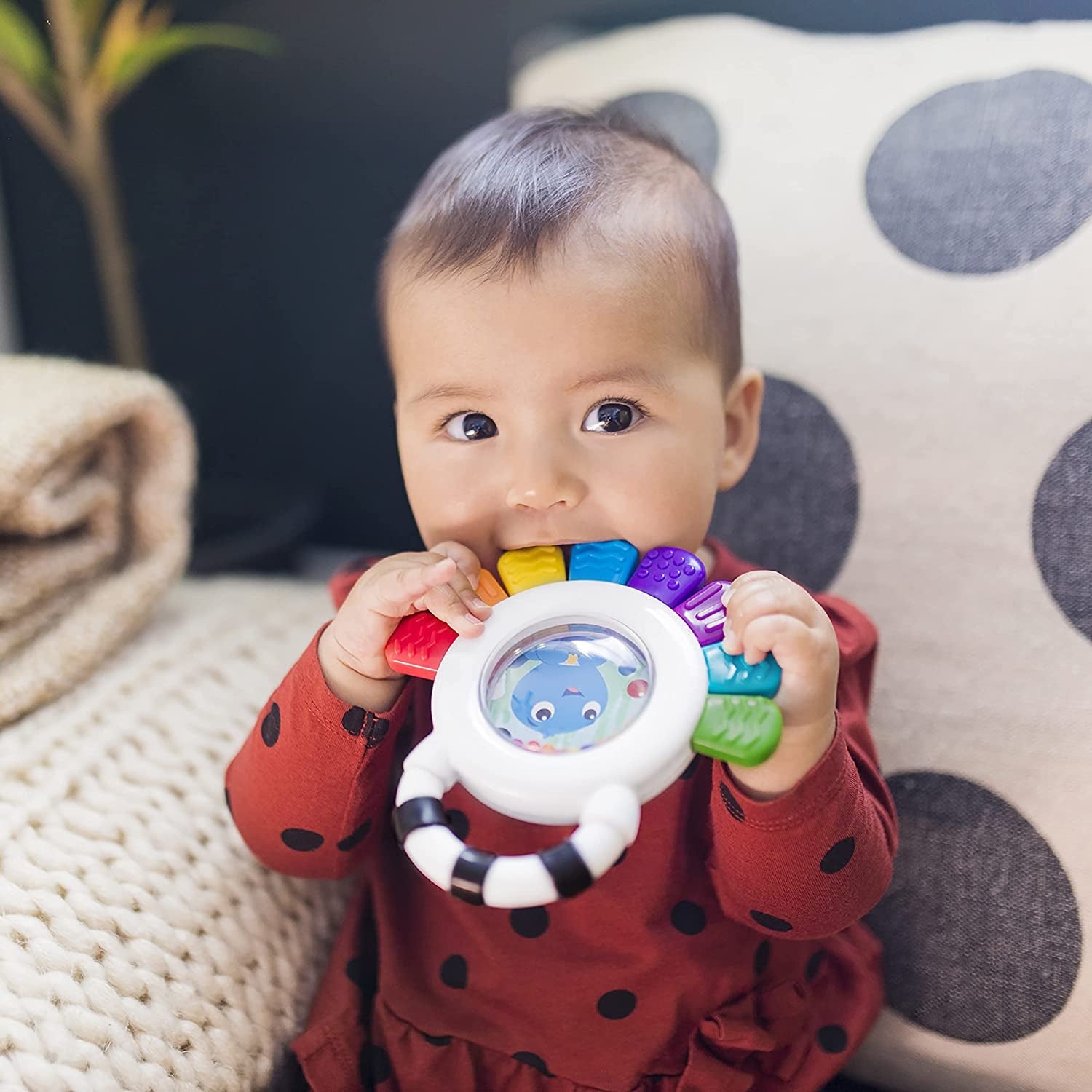 Baby Einstein - Jucarie multisenzoriala de dentitie Caracatita vesela
