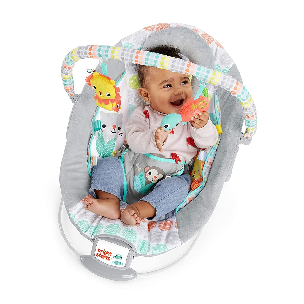 Bright Starts - Leagan si balansoar Whimsical Wild