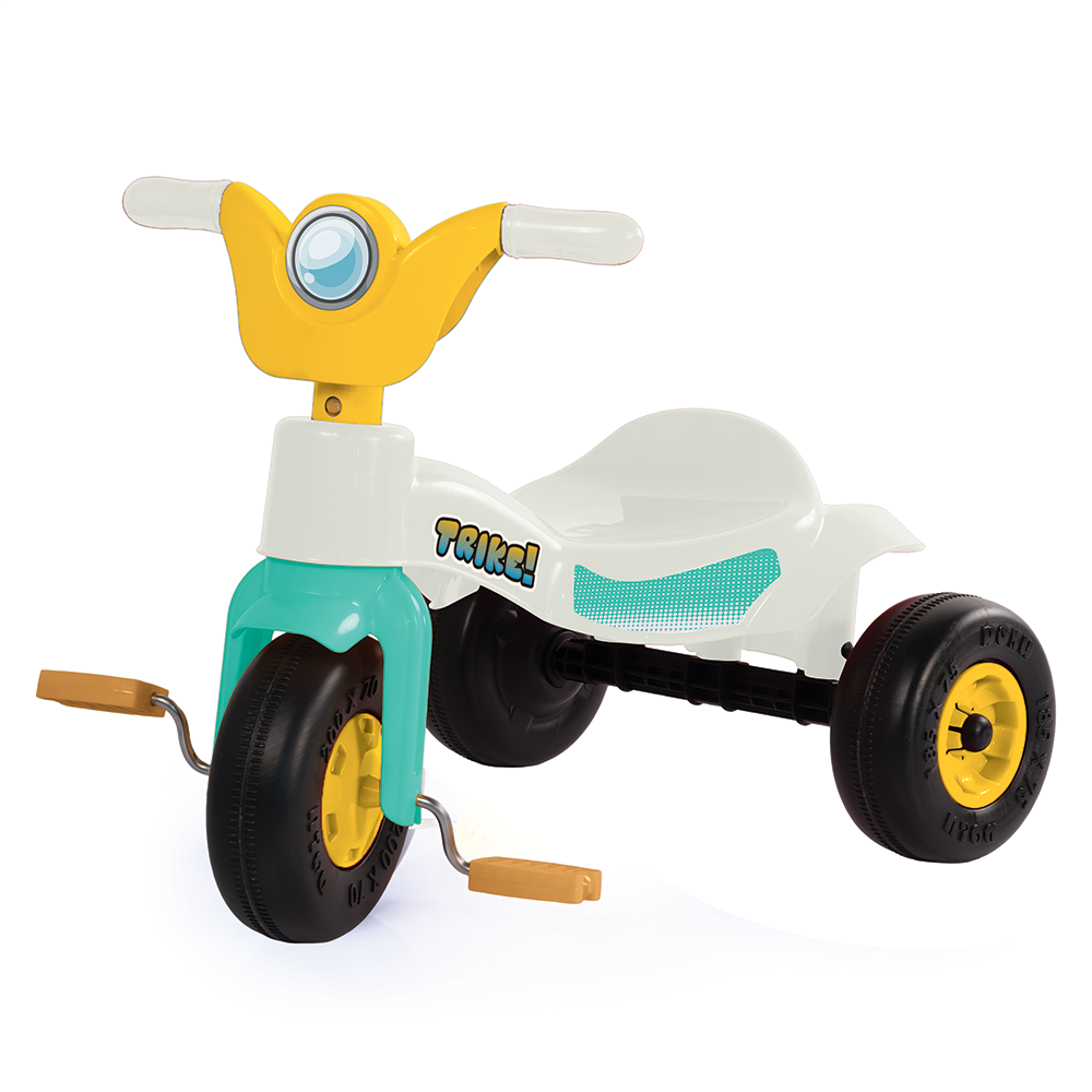 Prima mea tricicleta - Pastel
