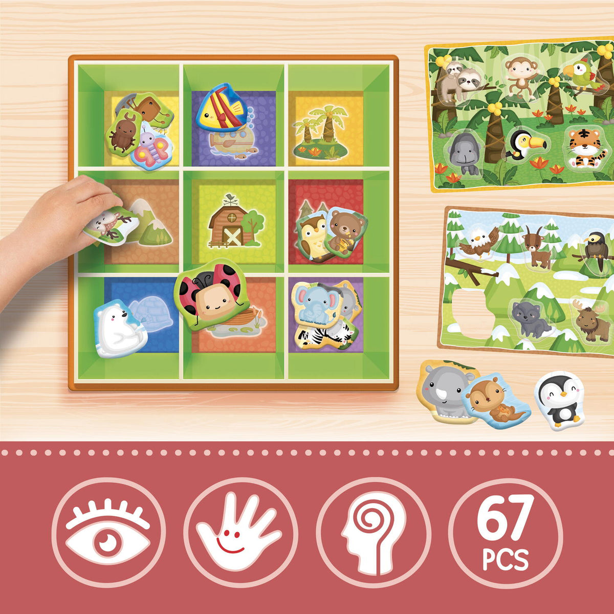 Cutiuta Montessori - Animalutele in mediul lor