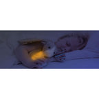 Musical Luminous Sleep Buddy Zazu Kids Max