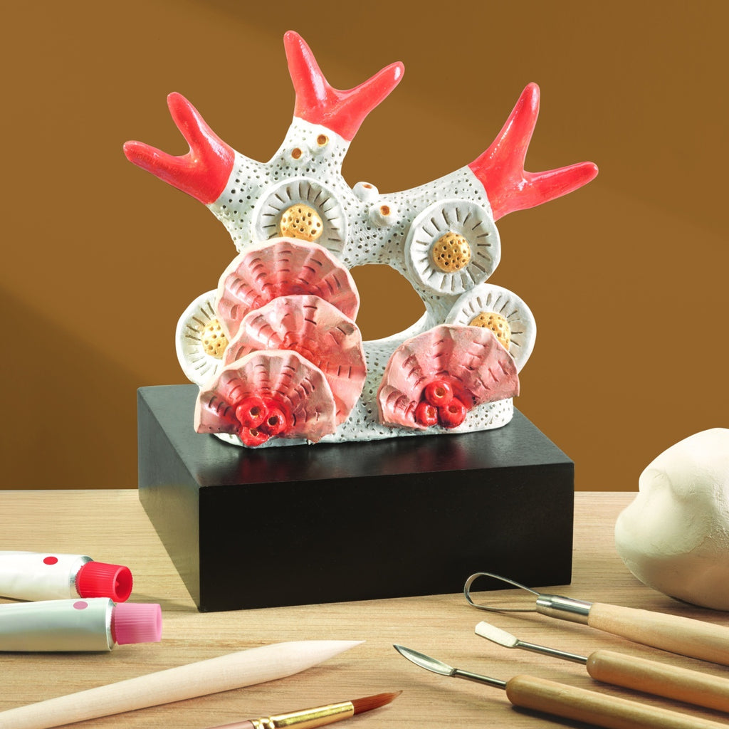 Atelier creativ 85 pentru adulti Modelaj in lut, Djeco