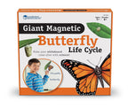 Ciclul vietii fluturelui - set magnetic