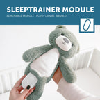 Brody the Musical Sleep Trainer Bear with Light, Blue, Zazu Kids