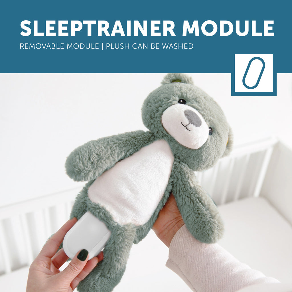 Zazu Kids Brody the Bear Musical Sleep Trainer with Light, Taupe