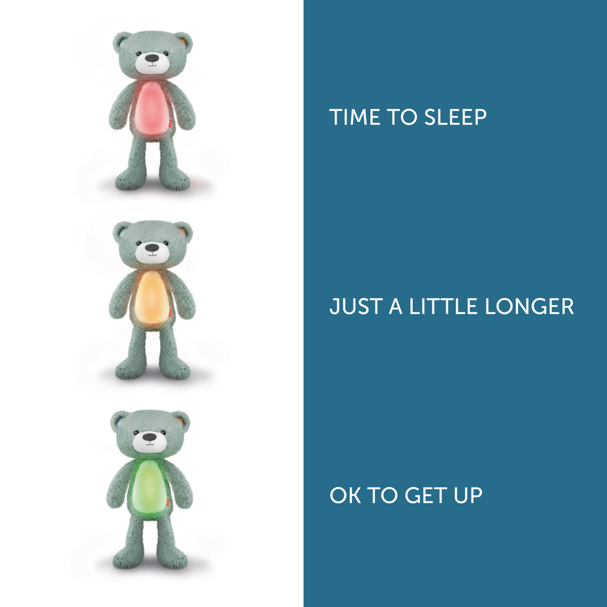 Brody the Bear Musical Sleep Trainer with Light, Pink, Zazu Kids