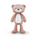 Brody the Bear Musical Sleep Trainer with Light, Pink, Zazu Kids