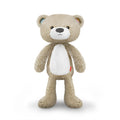 Zazu Kids Brody the Bear Musical Sleep Trainer with Light, Taupe