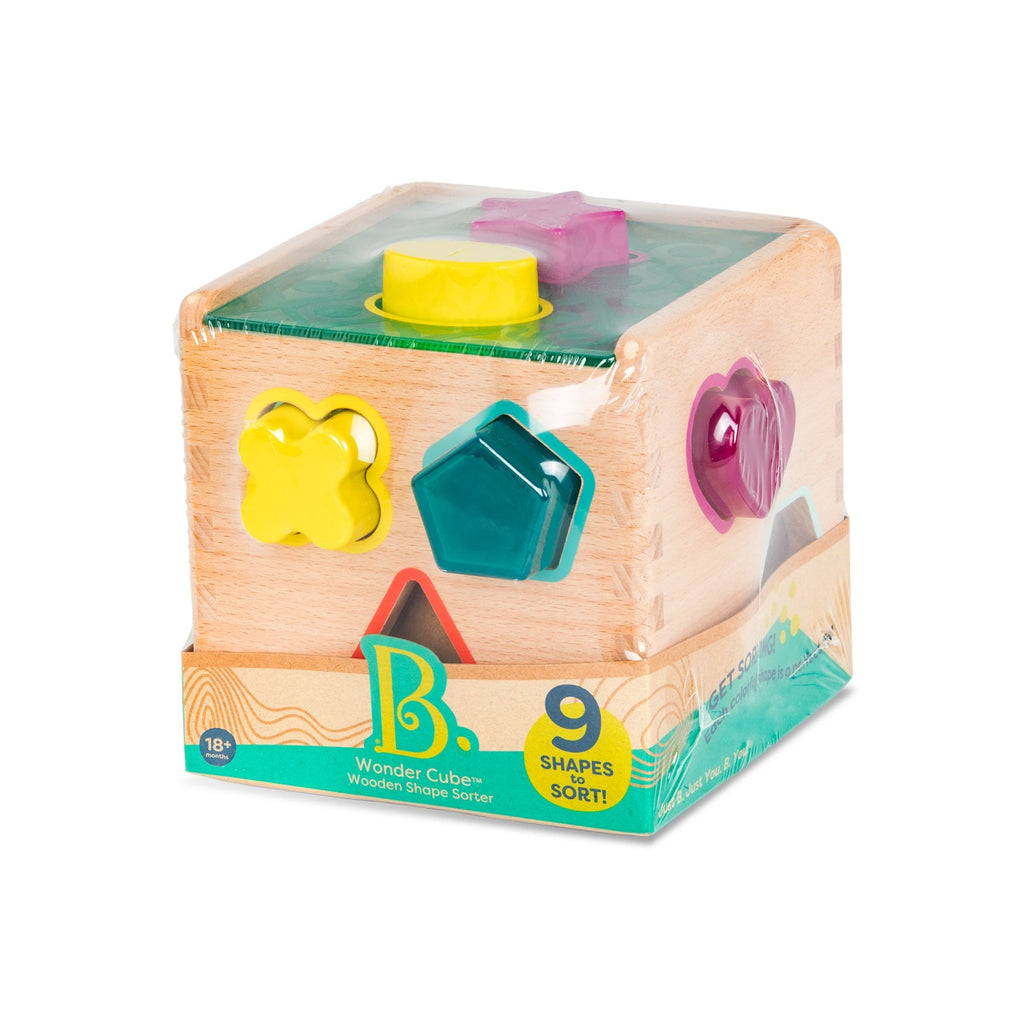 B.Toys Wooden Educational Cube with 9 Different Shapes