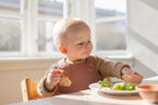 BIBS - Bavetica pentru diversificare si hranire, Blush