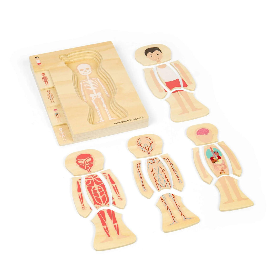 Puzzle anatomic din lemn - Baiat