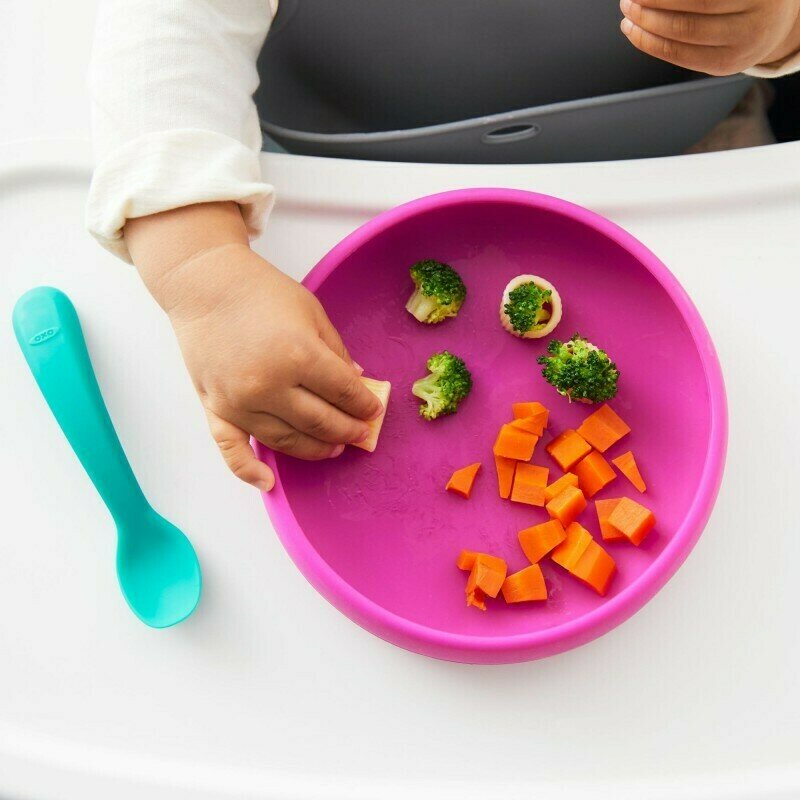 Pink Silicone Plate