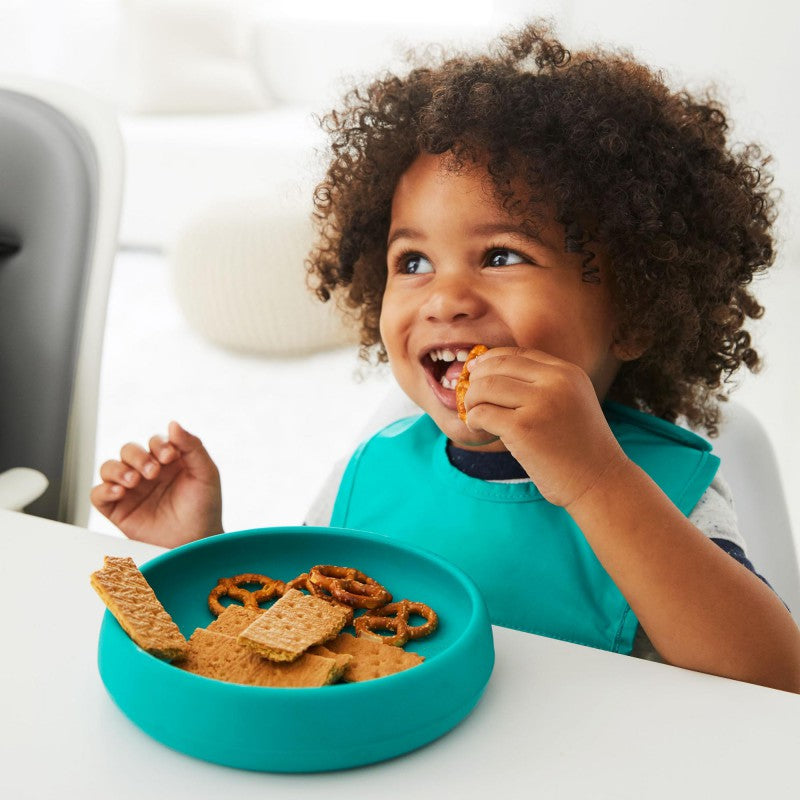 Teal Silicone Plate