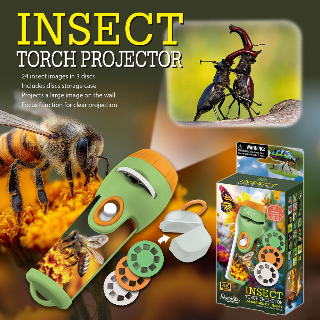Proiector tip lanterna - Descopera insecte