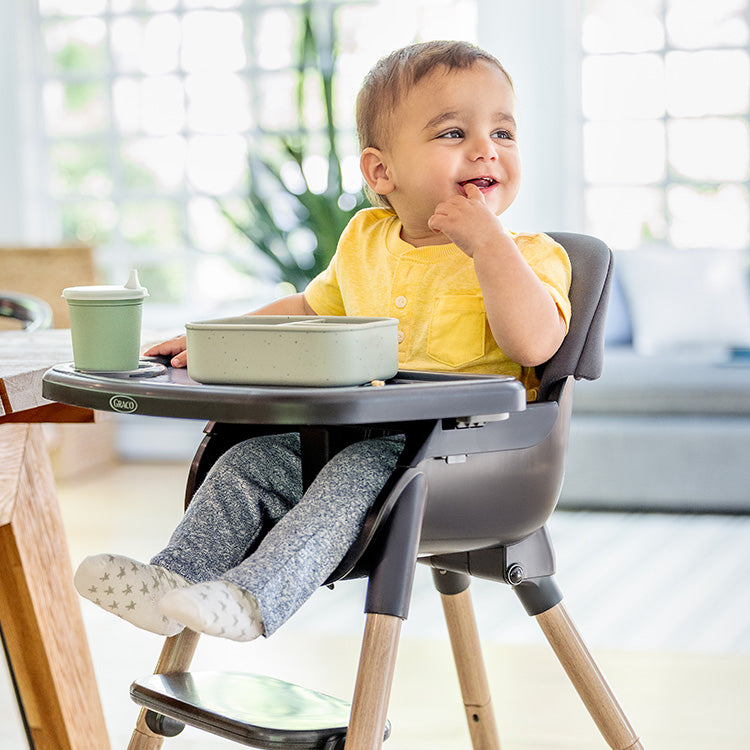 Graco - Scaun de masa 3 in 1 Presti, Charcoal