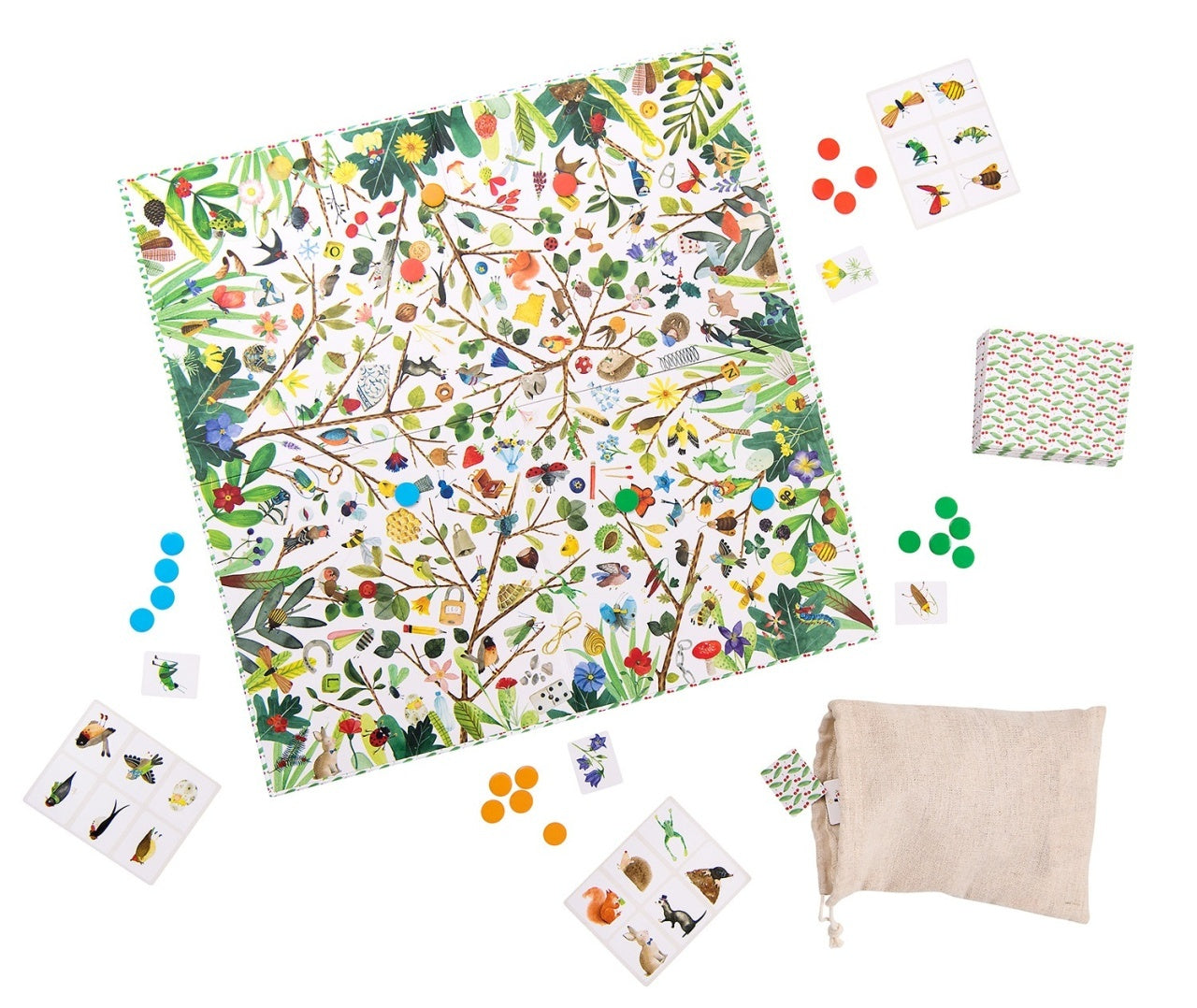 Joc de observatie Comorile gradinii, Moulin Roty