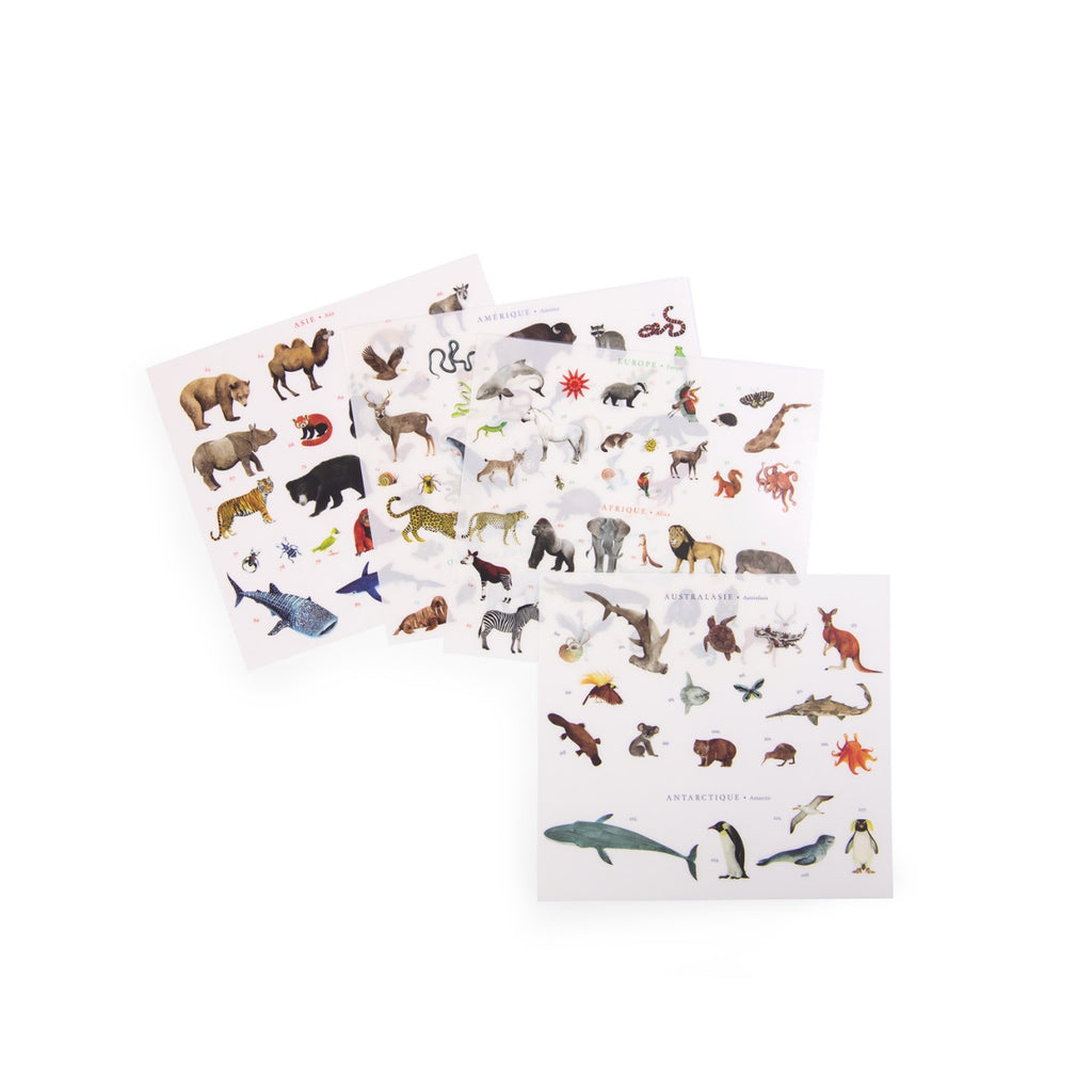 Joc de transfer Harta lumii, Moulin Roty