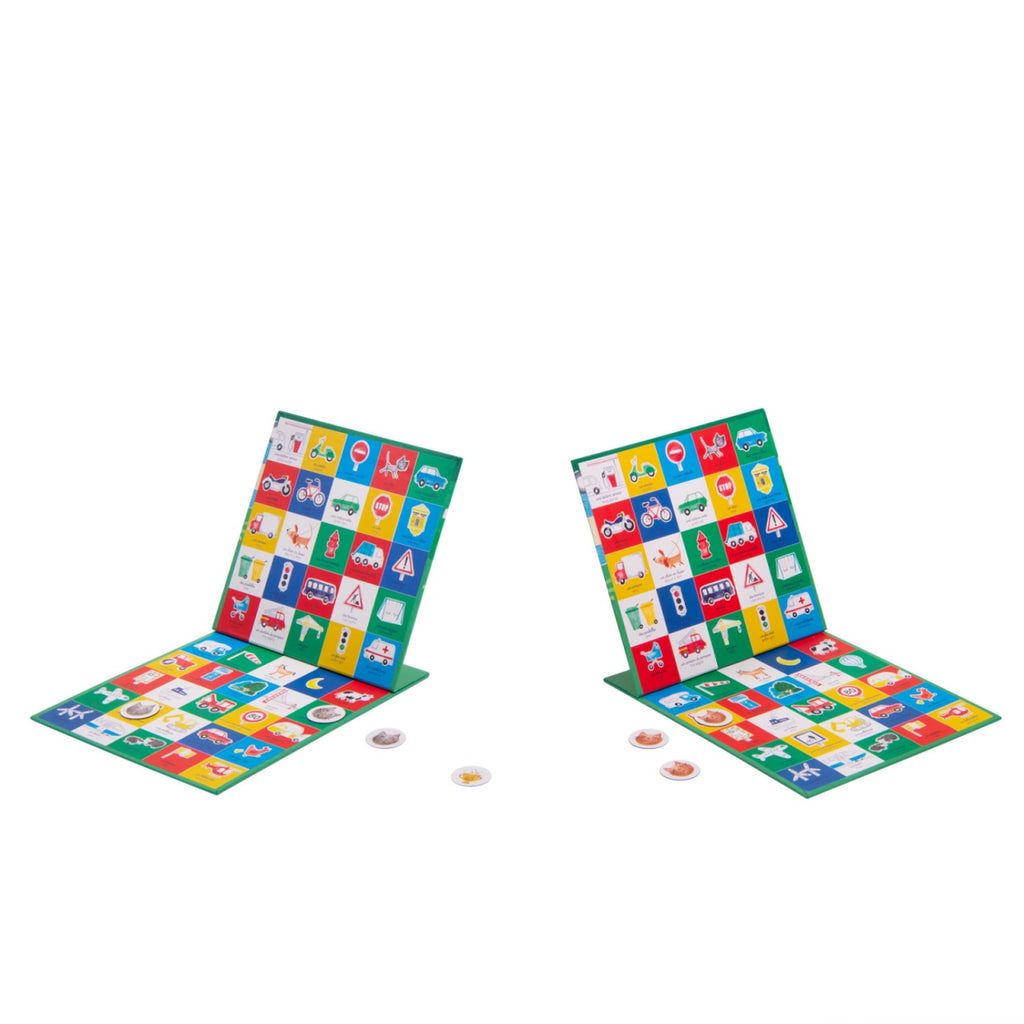 Joc magnetic de observatie, Moulin Roty