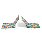 Joc magnetic de observatie, Moulin Roty