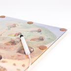 Joc magnetic tip labirint Arborele, Egmont Toys