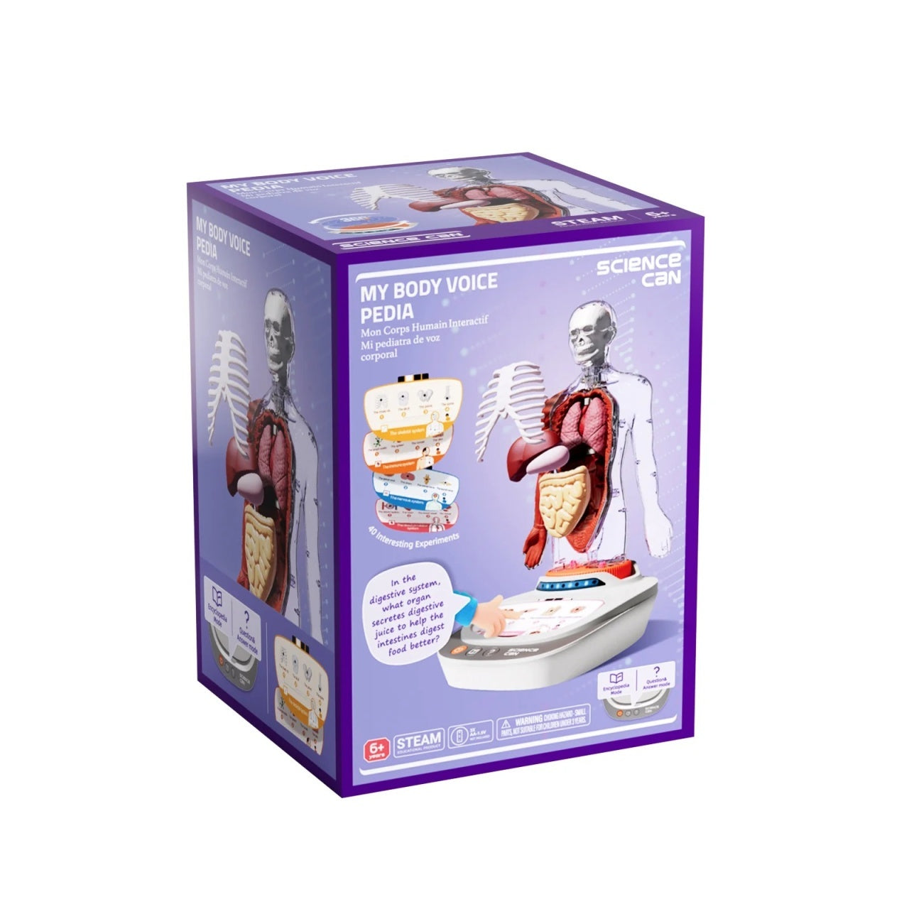 Joc STEM Anatomia umana, TopBright