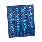 Joc transfer Harta astronomica, Moulin Roty