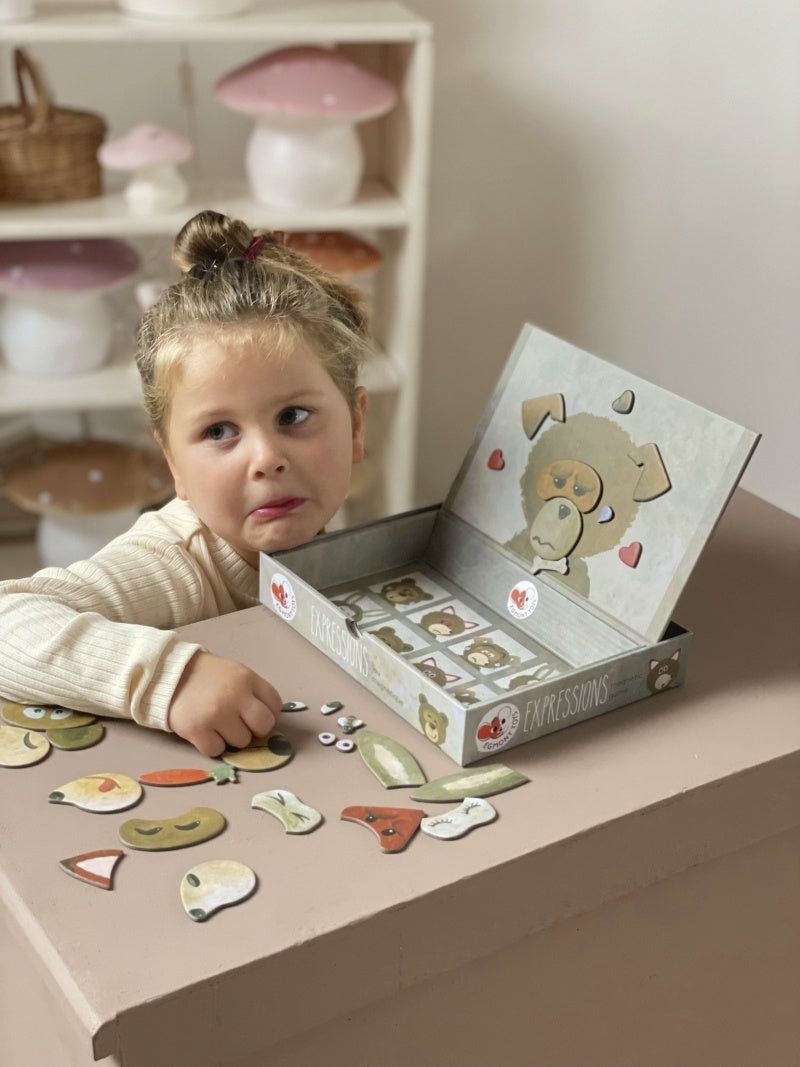 Jocuri magnetice Expresii, Egmont Toys