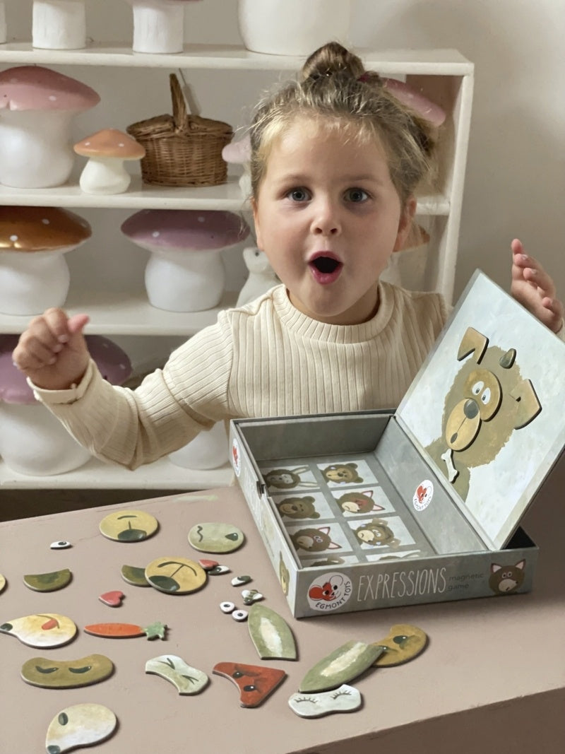 Jocuri magnetice Expresii, Egmont Toys