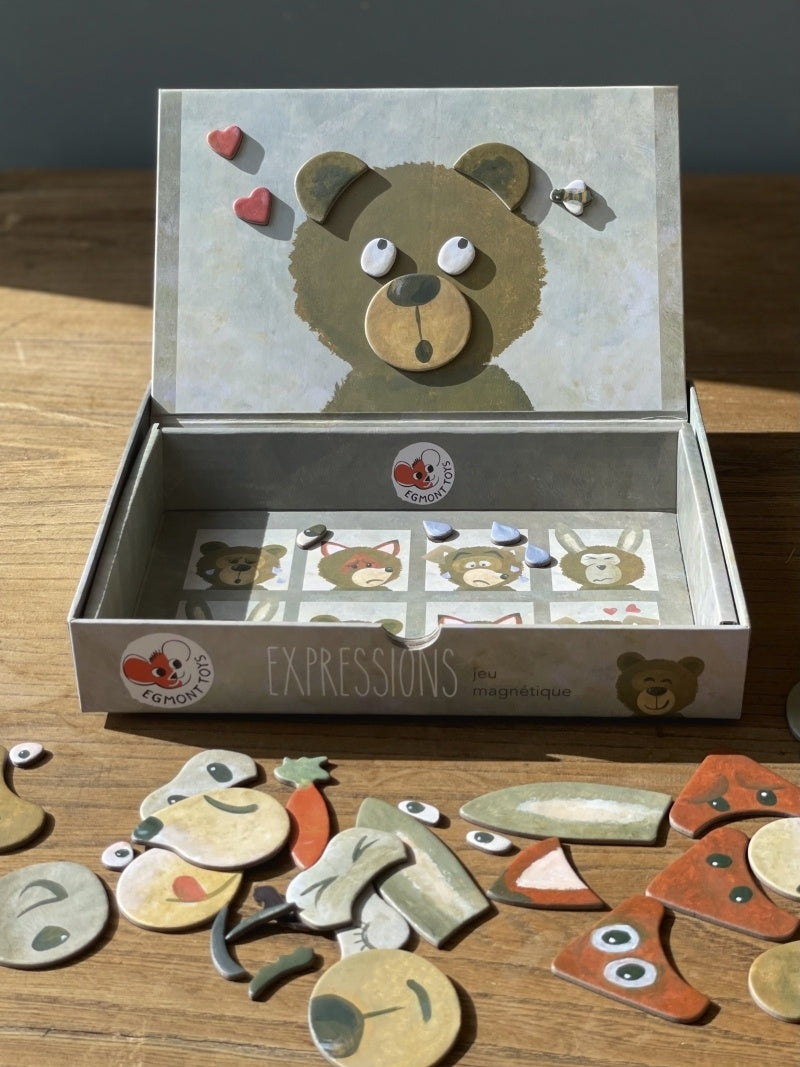 Jocuri magnetice Expresii, Egmont Toys