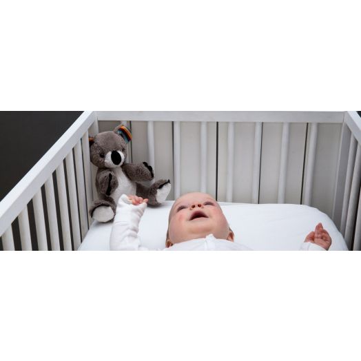Jucarie Muzicala Zazu Kids Coco