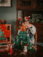 Kit STEAM Calendar Advent 37 Piese, Cleverclixx